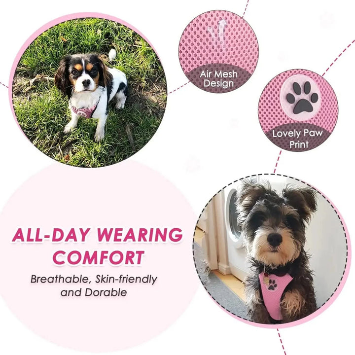Dog Car Harness Seatbelt Set – Safe & Comfortable Travel for Your Pet